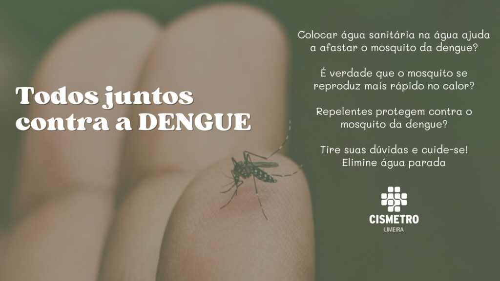 Tire dúvidas sobre o combate ao mosquito da dengue e possíveis complicações da doença